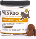 Köpekler için kurtarma Chews, Plazma- Aktif Köpekler için Güçlendi, Immune System Support ve Dog Training Support for Competition and Sport Muscle Recovery and Agtitude, 60 Count in USA