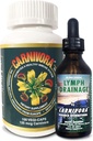 Carnivora The Ultimate Combo - Vegi Caps ve Lymph Drainage Immune System ve Flush Out Waste (Bundle with 1 Şişe Vegi Caps and 1 Şişe Lymph Drainage)