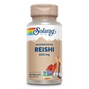 SOLARAY Reishi Mushroom 600 mg - Reishi Mushroom Capsules for Immune Support - Vegan, Lab Doğrulandı - 60 Günlük Para-Back Garanti - 100 Hizmet, 100 VegCaps