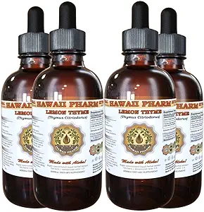 Lemon Thyme Liquid Extract, Lemon Thyme (Thymus Citriodorus) kazdası Tincture Supplement 4x4 oz