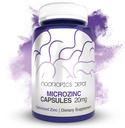 Nootropics Depot MicroZinc Capsules | 20 mg | Optimized PVC