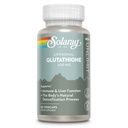 SOLARAY Liposomal Glutathione 500 mg - Antioxidant and Immune Support Supplement - Detoxification and Liver Support - Liposomal Glutathione Supplement - Vegan and Gluten Free - 30 Servings, 60 VegCaps