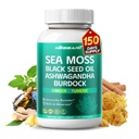 Sea Moss Supplement - Black Seed Oil Ashwagandha Burdock Bladderwrack Ginger Dandelion - 150 Kont - ABD'de Made & Tested