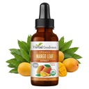 Εκχύλισμα φύλλων φυτικής παπάγιας Mango - Parent (1)
