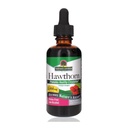 Nature's Answer 2 Oz - Low Alkol, Gluten Free & Kosher - Kalp Desteği - Hawthorn için ideal