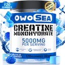 Creatine Monohydrate Gummies για άνδρες & γυναίκες 5000mg Creatine Monohydrate per Serving for Muscle Support Energy Boost 120 Count Chewable 5g συμπλήρωμα κρεατίνης ζάχαρη δωρεάν Vegan (1 Pack, Blue Raspberry)