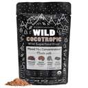 Organic Cocotropic Mushroom Hot Cocoa - Mushroom Coffee Alternative | Sugar Free Hot Chocolate | Organic Cocoa Powder, Reishi Mushrooms, Chaga, Maca Root, Turmeric | Delicious Sustained Focus, Energy & Mood Without Jitters | 16oz