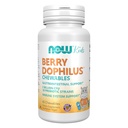 Şimdi Gıdalar Tamamlar, BerryDofiliusTM 2 Milyar, 10 Probiyotik Strains, Xylitol Sweetized, Strain TY, 60 Chewables, paketleme değişebilir.