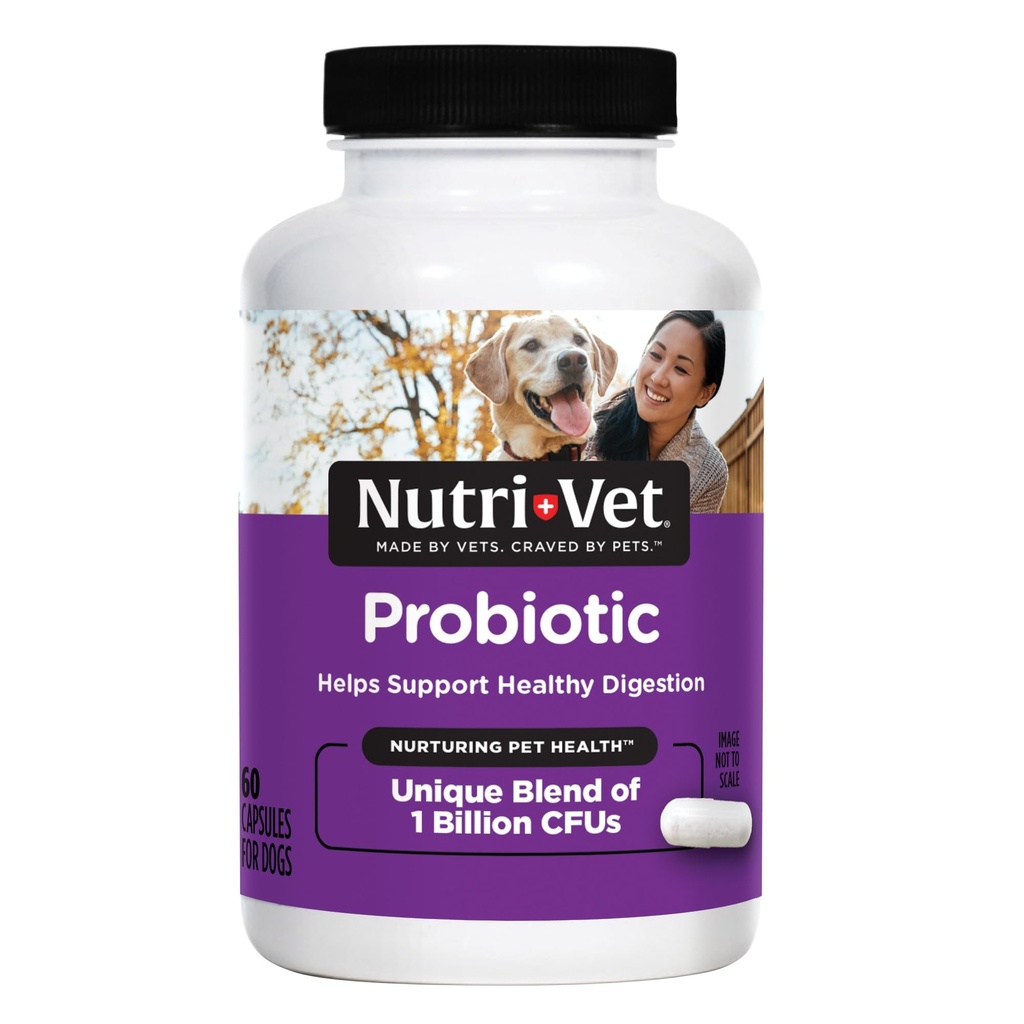 Nutri-Vet Probiotics for Dogs, Dog Probiotics for Digestive Health, Puppy Probiotics, Promotes Healthy Immune System & Gut Health, Vet Formulated, Puppy Supplies, 60 Count Capsules