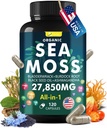 Sea Moss Capsule Complex with Sea Moss, Black Seed Oil, Aşhwagandha, Ginger & Vitamins C, D3-120 Κάψουλες,Superfood Συμπληρώματα - Advanced Seamoss Χάπια, Wild Sea Moss Hills, Made in USA