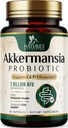 Akkermansia Probiyotik Supplement for Women & Men, Akkermansia Muciniphila GLP 1 Probiyotiks with Prebiyotik, 2 Milyar AFU, Natural Digestive, Gut Health, & GLP 1 Production Support, 60 Capsules