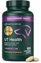 VetriScience Quick Action UT Health Chewable Tablets, UT Strength STAT Supplement for Dogs, Cranberry, Uva Ursi, and Chanca Piedra to Soothe Urinary Tract Discomfort, Smoke, 90 Count