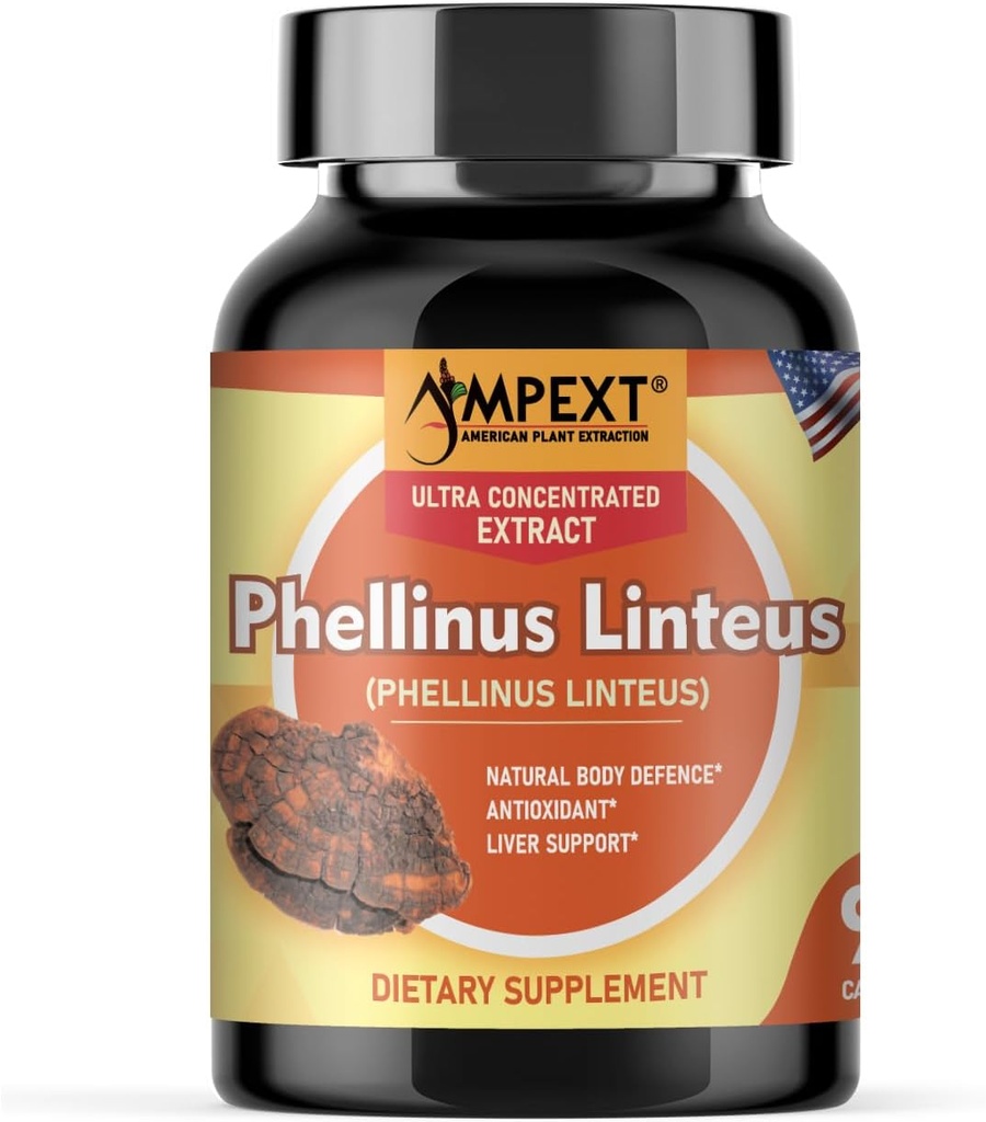 Phellinus linteus Mushroom Extract - Premium Quality, Only Fruiting Bodies, Antioksi, Immunity Alert, Liver Support, 90 Veg Caps.