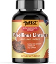 Phellinus linteus Mushroom Extract - Premium Quality, Μόνο Καρπωτικά Σώματα, Αντιοξειδωτικό, Ανοσία Booster, Υποστήριξη ήπατος, 90 Veg Caps.