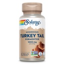 SOLARAY Fermented Turkey Tail Mushroom Supplement 1000 mg - Genel Wellness Desteği - Türkiye Organik Mushrooms - Vegan, Non-GMO, Lab TY, 60 Günlük Garanti, 30 Hizmet
