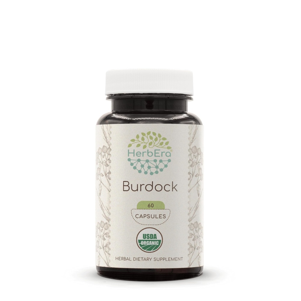 HerbEra Burdock USDA Organic 60 Capsules | Natural Herbal Supplement | Certified Organic Vegetarian Capsules and Organic Burdock (Arctium lappa) Dried Root (60 Capsules)
