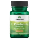 Swanson L. Plantarum - Gastrointestinal Denge ve Bowel Düzenliliği Artırmak için Doğal Formula - (30 Veggie Capsules)