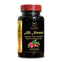 Cranberry Extract Concentrated Capsules - Gentle & Effective Support for Urinary Tract & Bladder Comfort, Promotes Natural Wellness & Provides The Fruit-Derived Benefits for Long-Term Well-Being