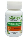 Shilajit Forte Capsule 500 mg. 60 Veg. Capsule | Shilajit (Asphaltum) Erkekler ve Kadınlar için Kapsüller | Ayurvedic Herbal Supplement/R capturedes | 10:1 Forte (1 Şişe 60 Capsules)