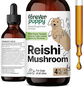Forever Puppy Red Reishi Mushroom Tincture for Dogs - Immune Support Supplement - Mushroom Drops w/Reishi Tür - Sıvı Vitaminler ve Tamamlar - Tüm Breeds & Boyutlar - Sugar & Alkol-Free - 4 ozz