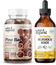 Άγρια & οργανικά εκχύλισμα φλοιών πεύκων Gummies & Burdock Ρίζα Βάμμα 4 fl oz