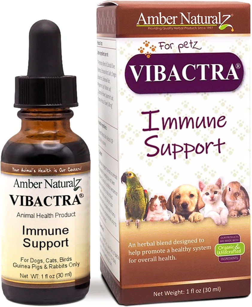 Amber NaturalZ Vibactra Immune Support Herbal Supplement for Dogs, Cats, Birds, Gine Pigs ve Tavşanlar | Pet Herbal Mix for General Health | 1 Akışkan Ounce Glass Şişe | ABD'de Üretilen