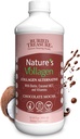 Buried Treasure Nature's Vollagen – 2000 mg Vollagen Kompleksi, Skin, Saç ve Ortak Sağlık, 100% Plant-Based, Gluten-Free, Soy-Free, Dairy-Free Chocolate, Mocha Flavor, 16oz Liquid