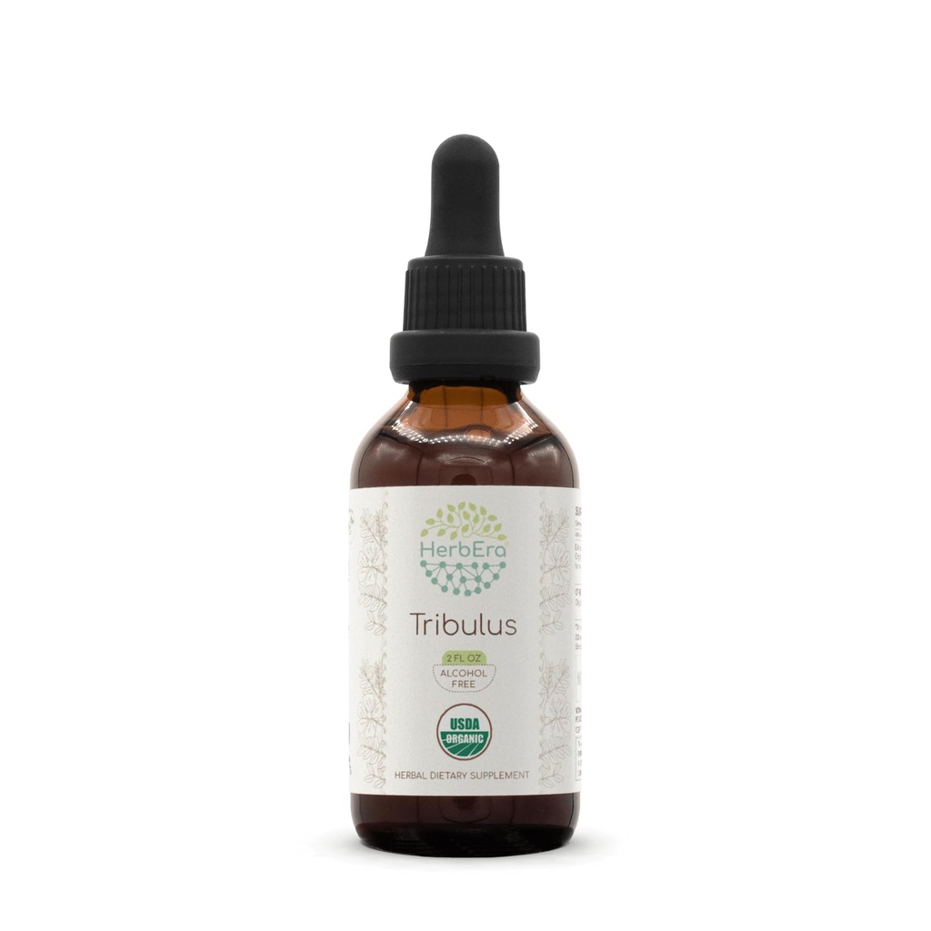 HerbEra Tribulus B60 USDA Organic Tincture | Alcohol-Free Extract, High-Potency Herbal Drops | Certified Organic Tribulus (Tribulus terrestris) Dried Fruit (2 oz)