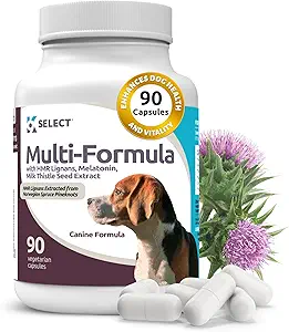 K9 Orta Köpekler için Multi-Formula Köpek Vitaminleri Seç - 20 mg HMR Lignans, 2 mg Melatonin, 40 mg Süt Butle - Kalp Yardımı, Liver, Digestion & Coat Health, Dog Multivitamin, 90 Capsules
