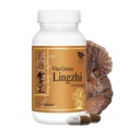 Enerji için Yeşil Lingzhi Mushroom Capsules, Memory ve Immune Support – Saf Reishi Supplement with Natural Antioksis for Wellness and Energy – 72 Capsules