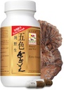 Enerji için Yeşil Lingzhi Mushroom Capsules, Memory ve Immune Support – Saf Reishi Supplement with Natural Antioksis for Wellness and Energy – 72 Capsules
