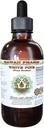 White Pine Alkol-Free Liquid Extract, White Pine (Pinus Strobus) kuru Bark Glycerite Natural Herbal Supplement, Hawaii Pharm, ABD 4 fl.oz