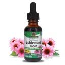 Doğanın Yanıtı Echinacea Alkol Ücretsiz Ekstraksiyon 1 Akış Ounce | Genel Sağlık | Doğal Immune ATM | Inflammatory Function