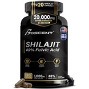 Shilajit Capsules 20.000 mg – Pure Himalaya Shilajit for Men & Women – Organik Fulvic Acid Supplement with 85+ Trace Minerals – High Potency Natural Energy & Vitality Support – 120 Vegan Capsules