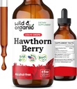 Vahşi & Organik Hawthorn Berry Tincture 600 mg - Sıvı Hawthorne Berry Genel Destek için Tamam - Vegan, Şeker & Alkol Ücretsiz Meyve Ekstraları - 4 fl oz
