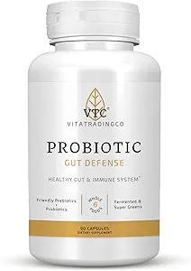 VTC VitaTradingCo. Probiyotik Gut Savunma | Probiyotikler ve Prebiyotikler Gut Health & Digestion | 1 Milyar CFU with Whole Food Base | 90 Capsules