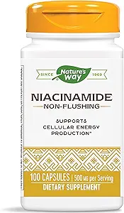 Nature's Way Niacinamid 500 mg - 100 Capsules (4 Pack)