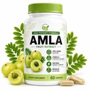 Amla Capsules Organic – Indian Gooseberry (Amla) Fruit Extract Supplement for Antioxidant Support, Stress Balance & Natural Energy – Ayurvedic Daily Wellness Formula, 60 Capsules