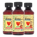 Çocuklar ve Toddler için ESSENTIALS Sıvı Çinko Plus - Sıvı Tamam Durağı, Immune Support - Mango Strawberry, 4 Fl Oz (Pack of 3)