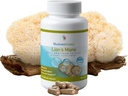 MushroomScience Lions Mane Mushroom Κάψουλες, μνήμη & υποστήριξη συγκέντρωσης, πλήρες εκχύλισμα φάσματος, συμπλήρωμα μανιταριών για ενήλικες, ζεστό νερό εκχυλιζόμενα μανιτάρια, χορτοφαγικά, 300MG, 90 ct