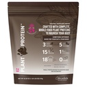 All In Nutritionals EZ Plant Protein, Vegan, Keto-Friendly, Dairy-Free, Soy-Free, Gluten-Free, in Chocolate, Blend of Rice, Peas, Sacha Inchi, and Pumpkin Seeds - NO Bloat - with Digestive Enzymes