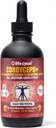 Life Cykel Cordyceps Mushroom Extract with Kakadu Plant - Energy, Stamina & Vitality Support, Natural Aging Supplement - Non-GMO and Vegan Tincture - 4Fl Oz