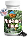 Fulvic Humic Mineral Trace Mineralleri, Elektrolytes, Gut Health, Cognitive Function, Hydration & Immune Support, Pure Vitality Formula for Wellness - 60 Capsules
