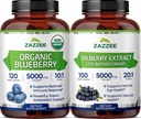 Zazzee Brain & Eye Health Support Bundle | Extra Strength Bilberry 20:1 Extract & USDA Organic Blueberry Extract Capsules | Non-GMO Vegan & ISO Lab Tested