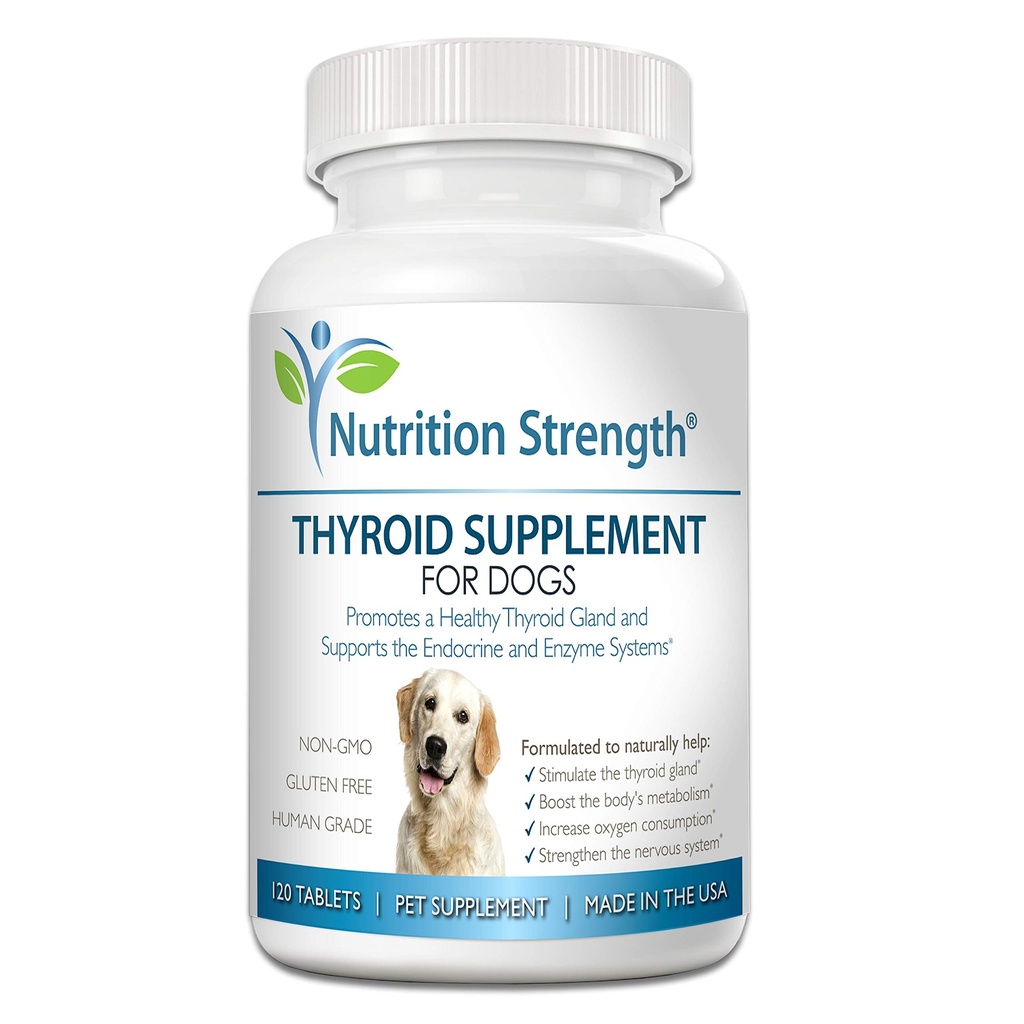 Köpekler için koroid Supplement, Organik Bladderwrack ile Köpekler için Destek, Endocrin ve Enzyme Sistemleri Normal Fonksiyonlar, 120 Chewable Tabletler