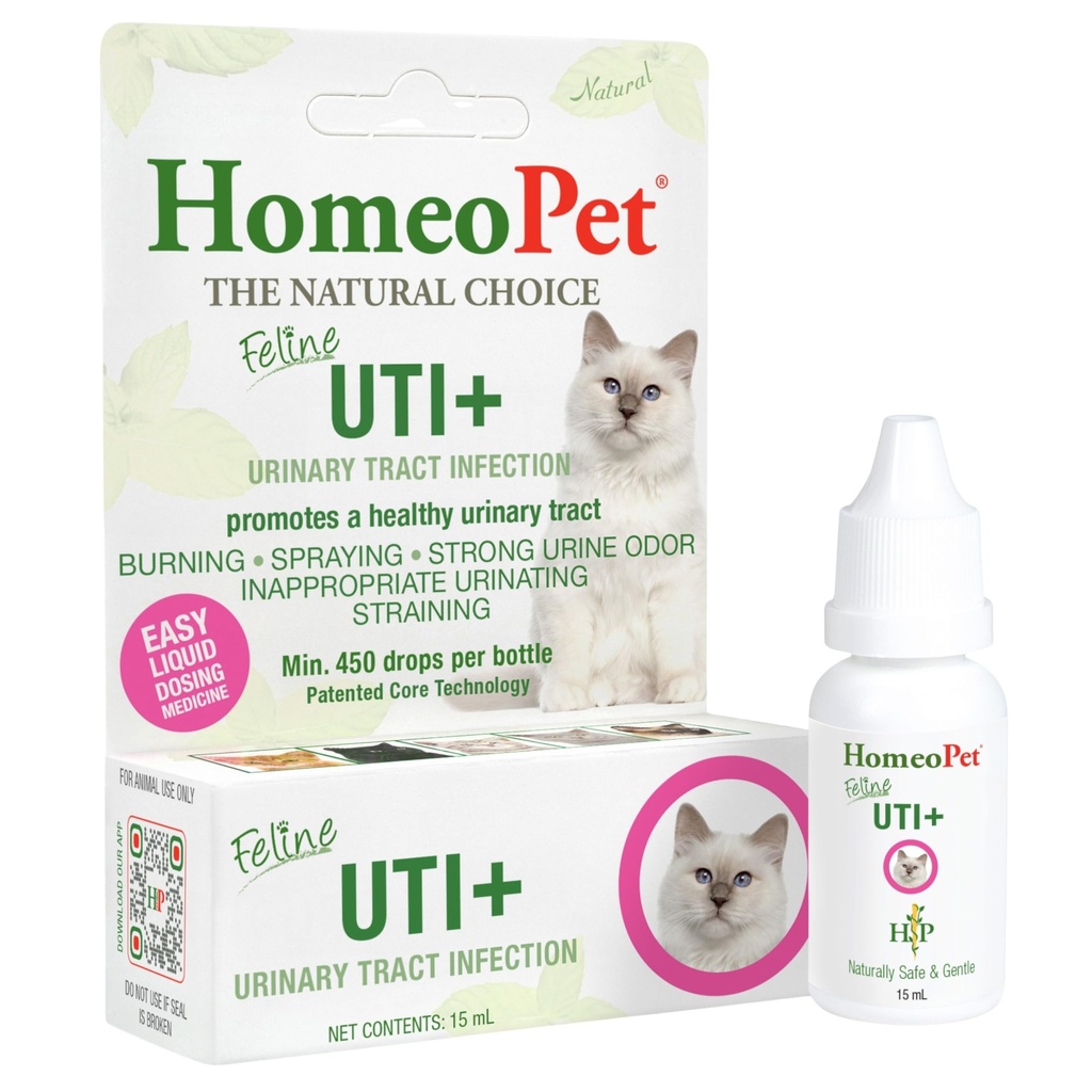 HomeoPet Feline UTI+ Safe and Natural Urinary Tract Supplement for Cats Feline Urinary Tract Support 15 Milliliters