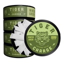 5 Pack Caffeine Pouches, 100 Pouches Total, Wintergreen Energy Pouches 100mg Caffeine, Nicotine Free Tobacco Free, Focus Boost for Adults Daily
