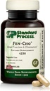 Standart Süreç Fen-Cho - Digestive & Gut Health Supplement - Gluten-Free, Non-Dairy & Non-Soy - 90 Capsules (45 Hizmet)