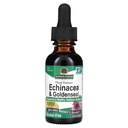 Nature's Answer Enchinacea & Goldenseal | Sağlıklı Immune System | Süper Yoğun Saf Tür | Alkol Özgür, Gluten-Free, Vegan & Kosher Sertifikalı 1oz