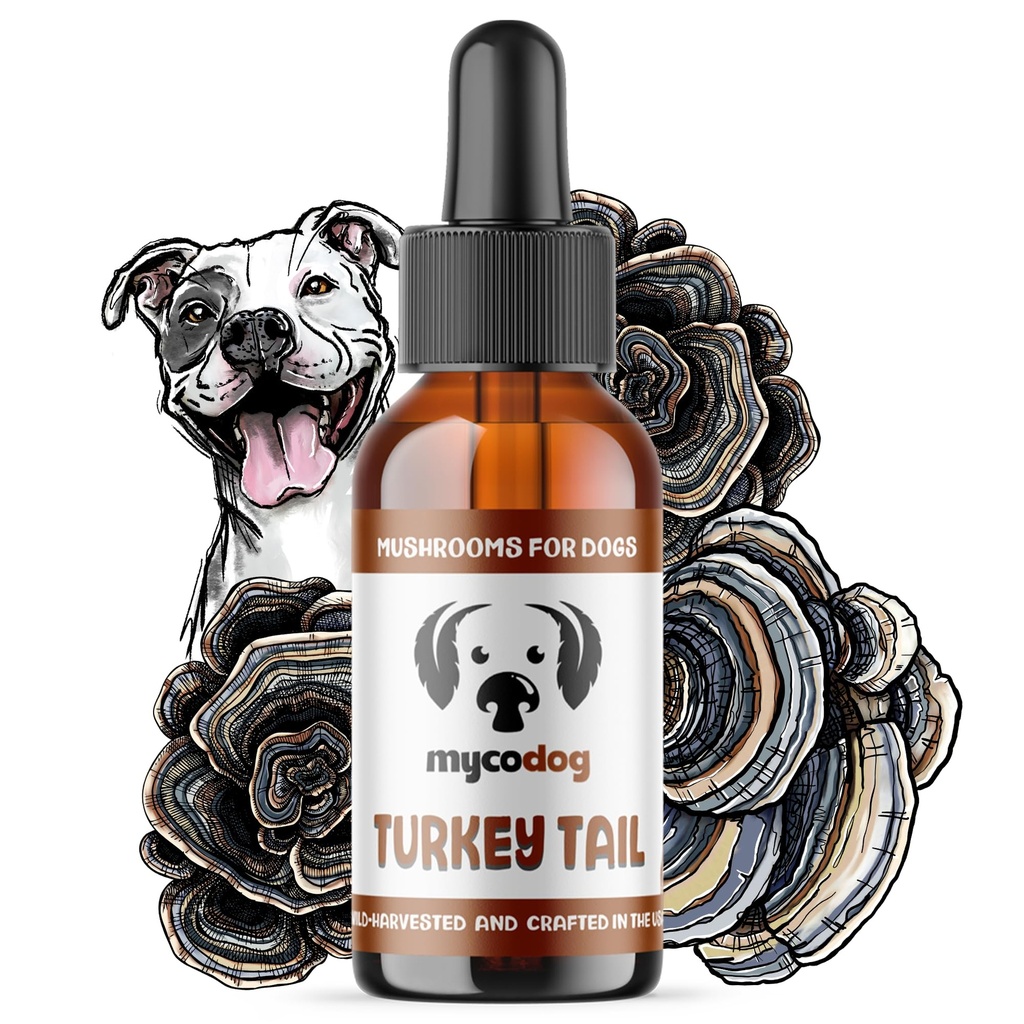 MycoDog Turkey Tail Mushroom for Dogs - Immune & Gut Health Support - Turkey Tail Supplement for Dogs - Daily Wellness Drops